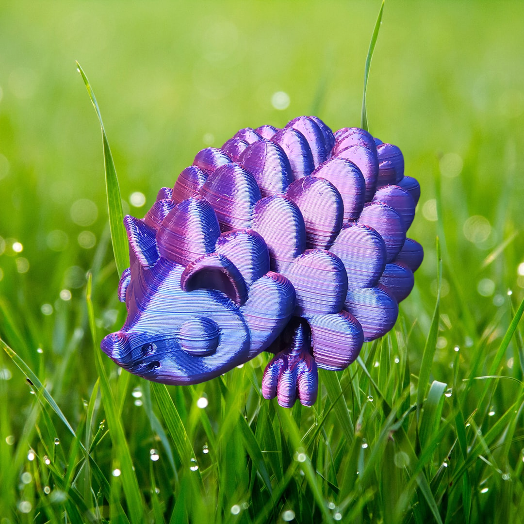 Hedgehog