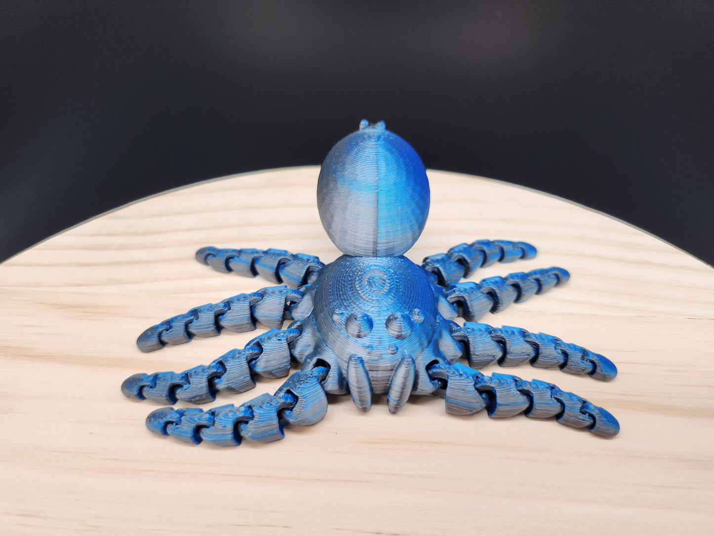 Spider