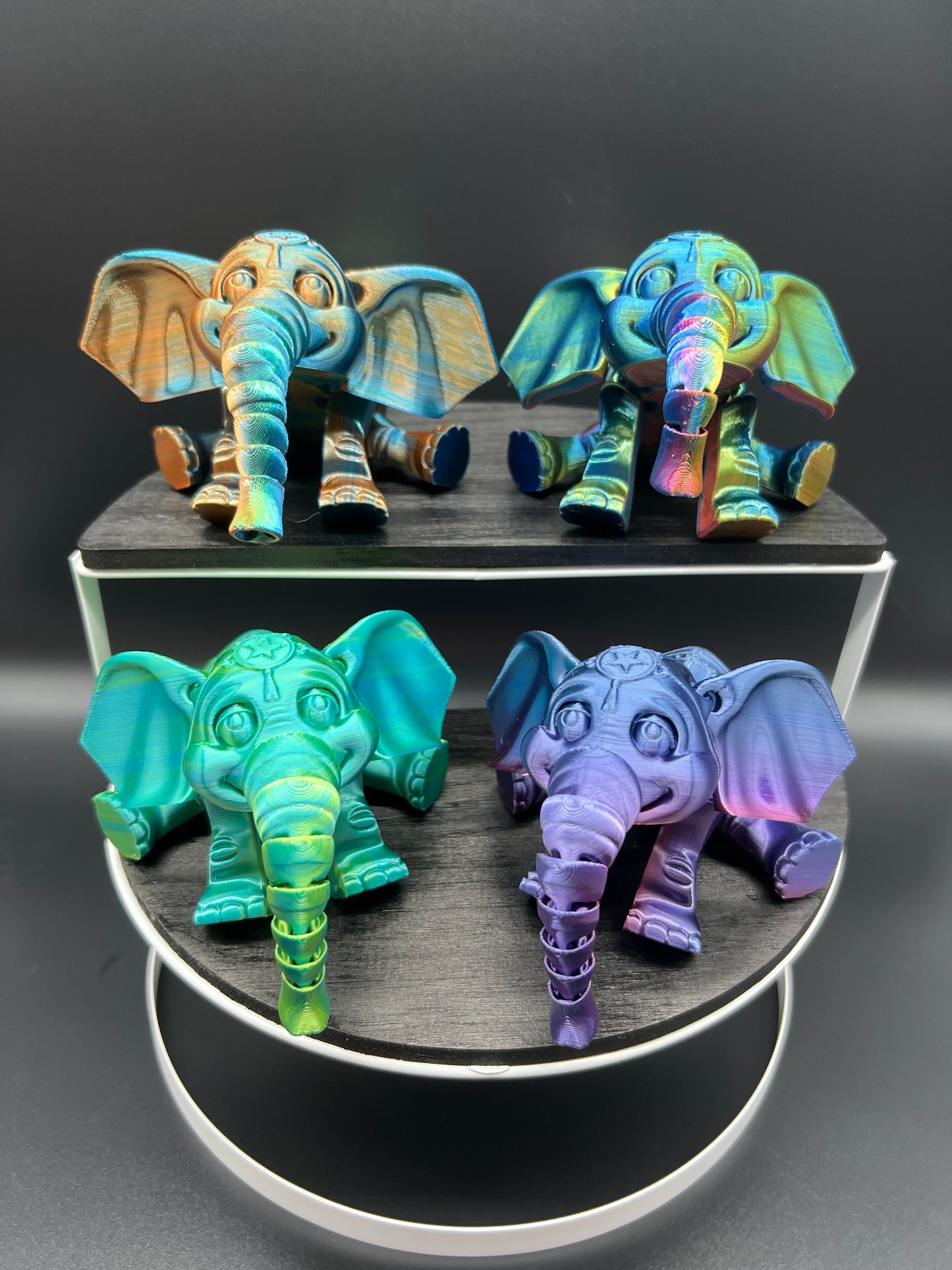 Circus elephant