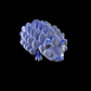 Hedgehog