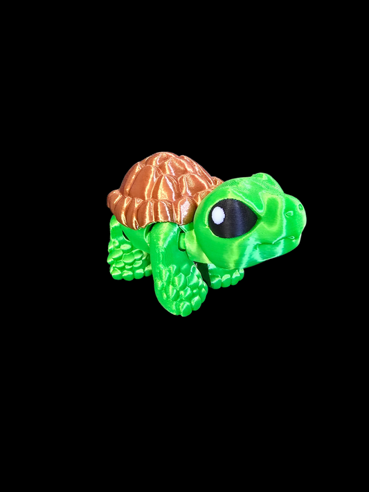 Tortoise
